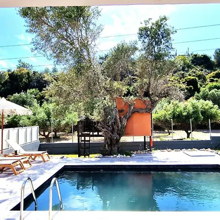 Fountain Pool فيلة *